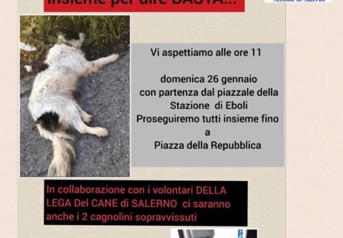 marcia solidarietà lega del cane