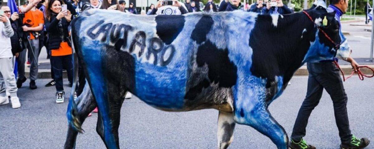 mucca nerazzurra