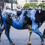 mucca nerazzurra