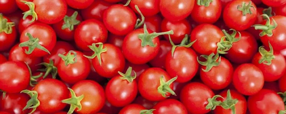 Bambini intossicati dopo aver consumato pomodori ciliegini