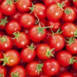 Bambini intossicati dopo aver consumato pomodori ciliegini