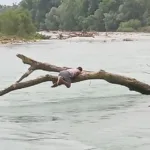 Ragazzo si salva aggrappandosi ad un albero dopo la piena del Brenta
