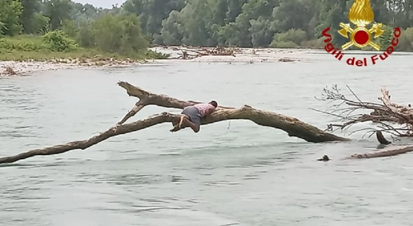 Ragazzo si salva aggrappandosi ad un albero dopo la piena del Brenta