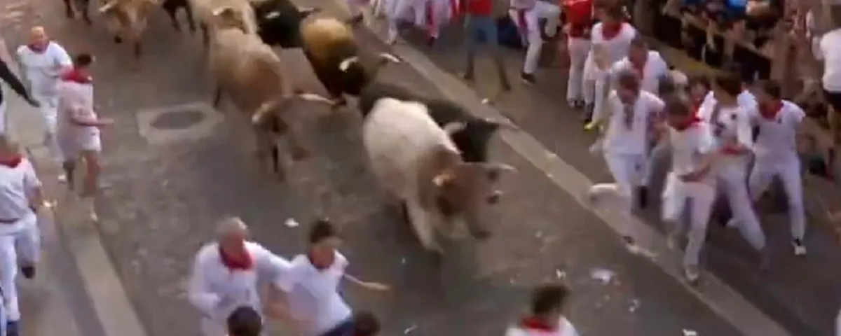 Feriti e polemiche per la corsa dei tori a Pamplona