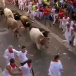 Feriti e polemiche per la corsa dei tori a Pamplona