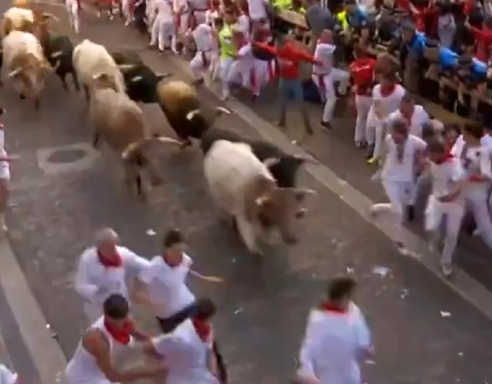 Feriti e polemiche per la corsa dei tori a Pamplona