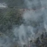 Gargano in fiamme, turisti evacuati a Viesti