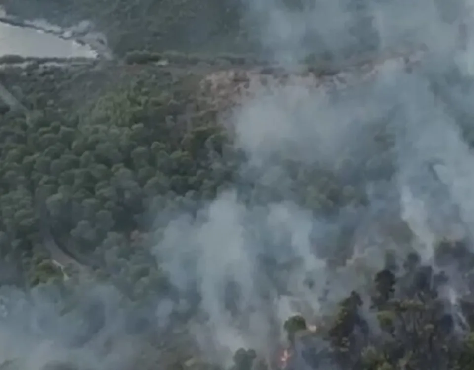 Gargano in fiamme, turisti evacuati a Viesti