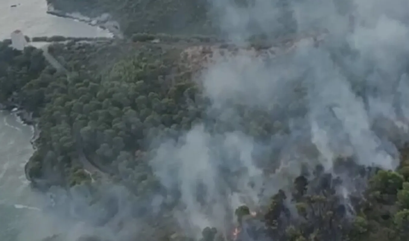 Gargano in fiamme, turisti evacuati a Viesti