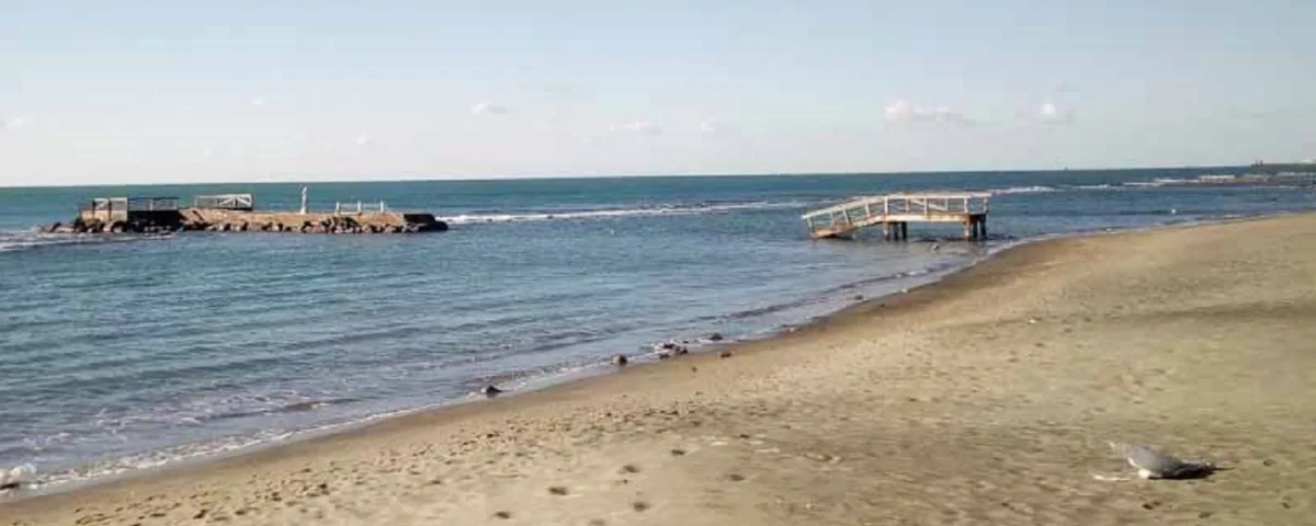 Ragazzina molestata sulla spiaggia di Ostia