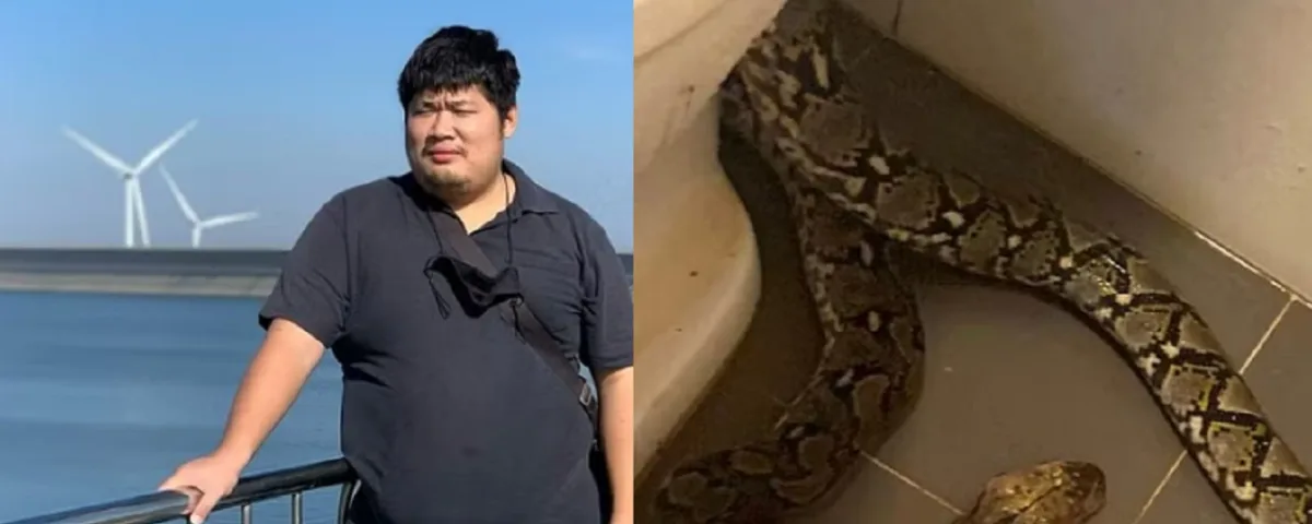 Morso da un serpente dopo essersi seduto su un bagno in Thailandia