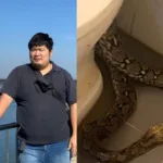 Morso da un serpente dopo essersi seduto su un bagno in Thailandia