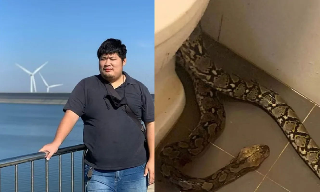 Morso da un serpente dopo essersi seduto su un bagno in Thailandia