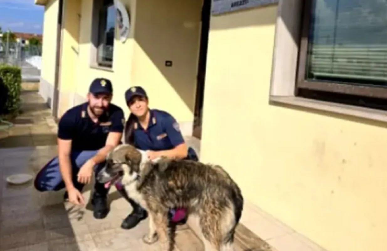 Nara salvata dalla polizia sull'A1