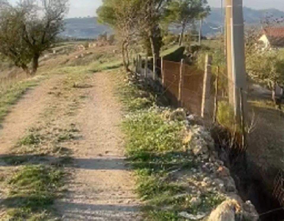 La giovane si è tolta la vita nelle campagne di Piazza Armerina