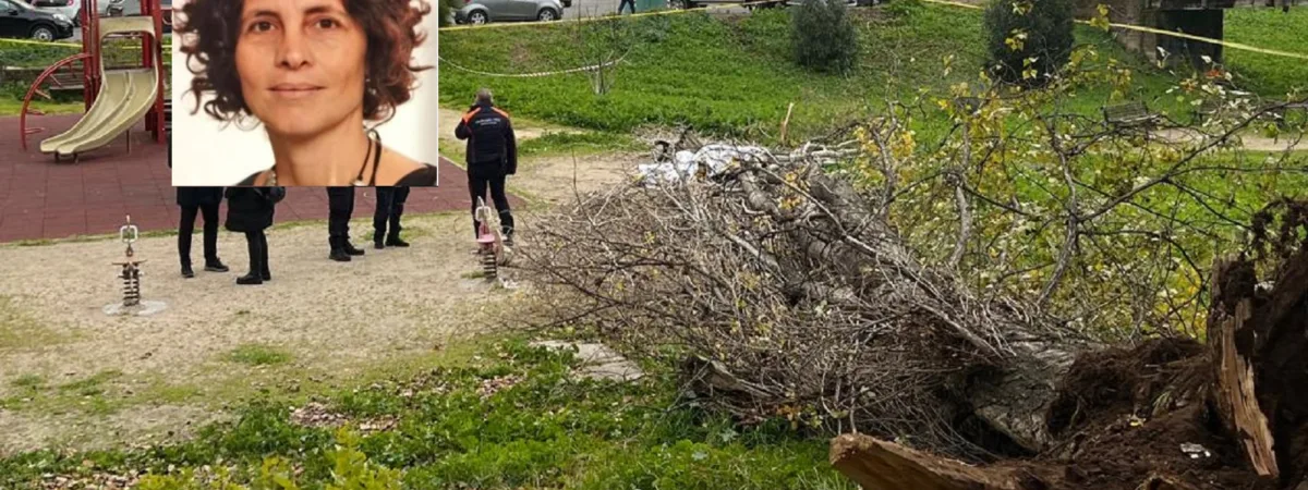 L'albero si è abbattuto sulla donna che era seduta su una panchina al parco Labor