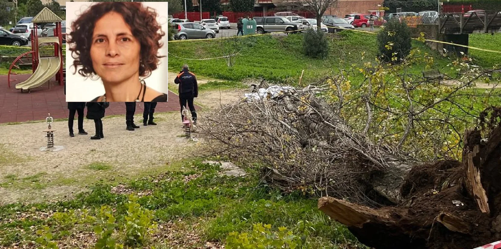 L'albero si è abbattuto sulla donna che era seduta su una panchina al parco Labor