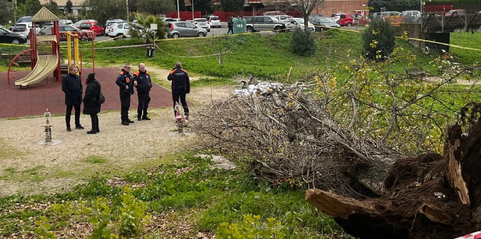 L'albero si è abbattuto sulla donna che era seduta su una panchina al parco Labor