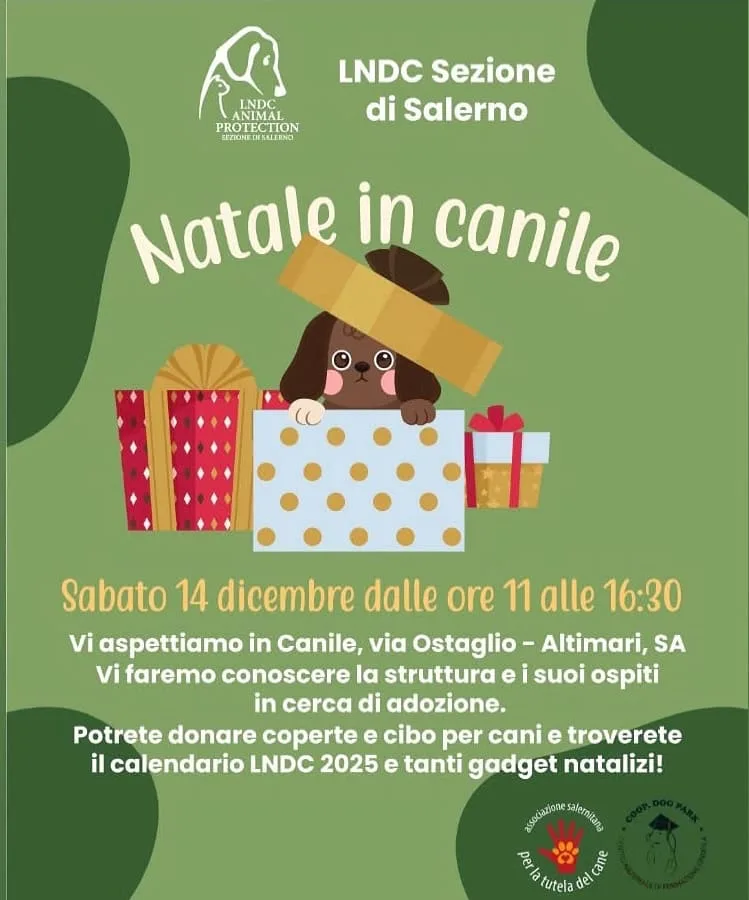 Natale in canile sabato 14 dicembre