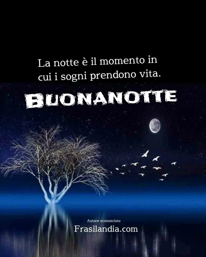 Buonanotte33