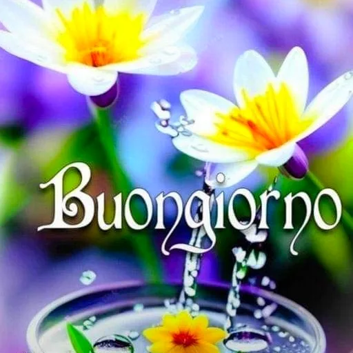 Buongiorno fiori